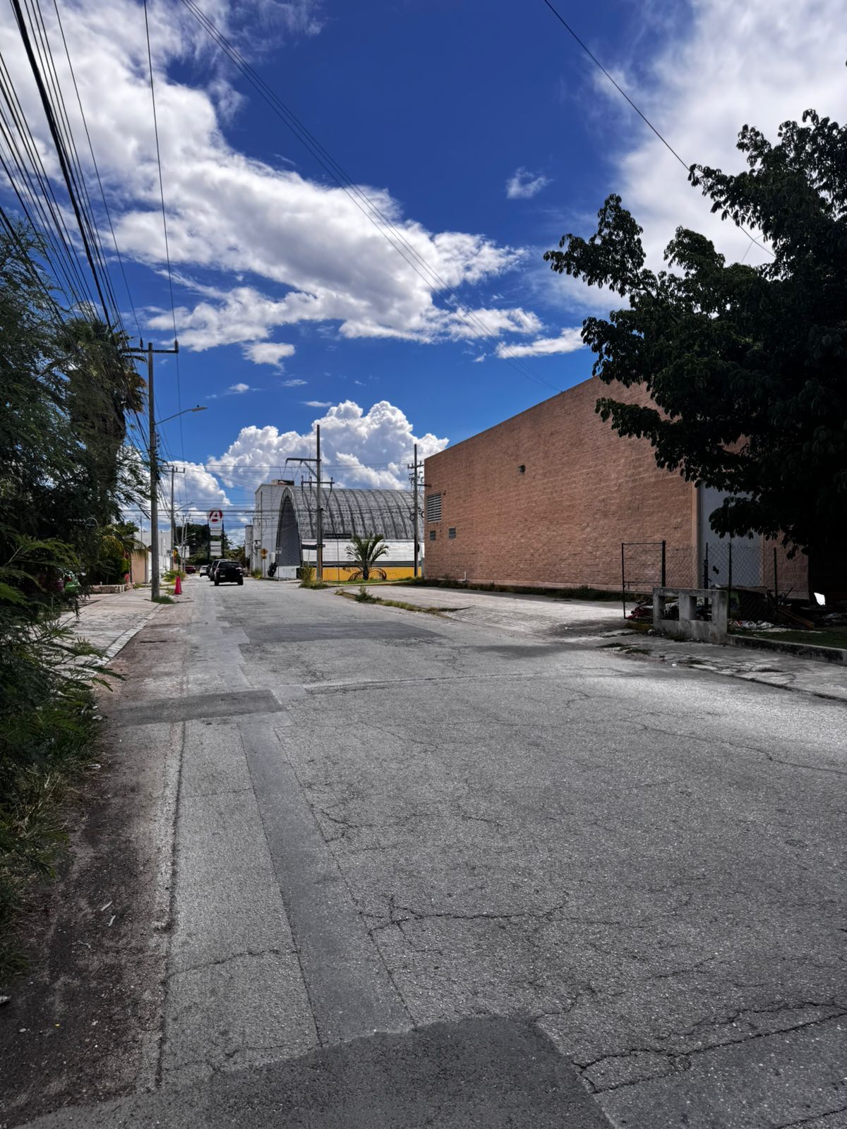 5 de 6