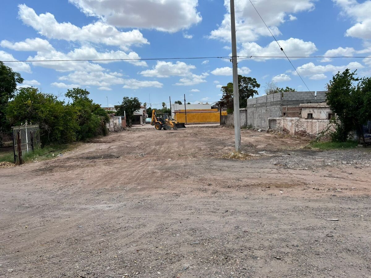 6 de 10
