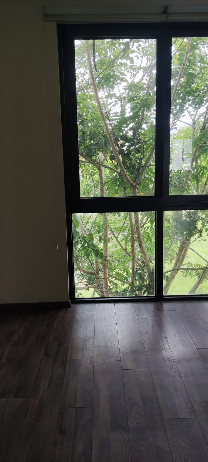 6 de 24