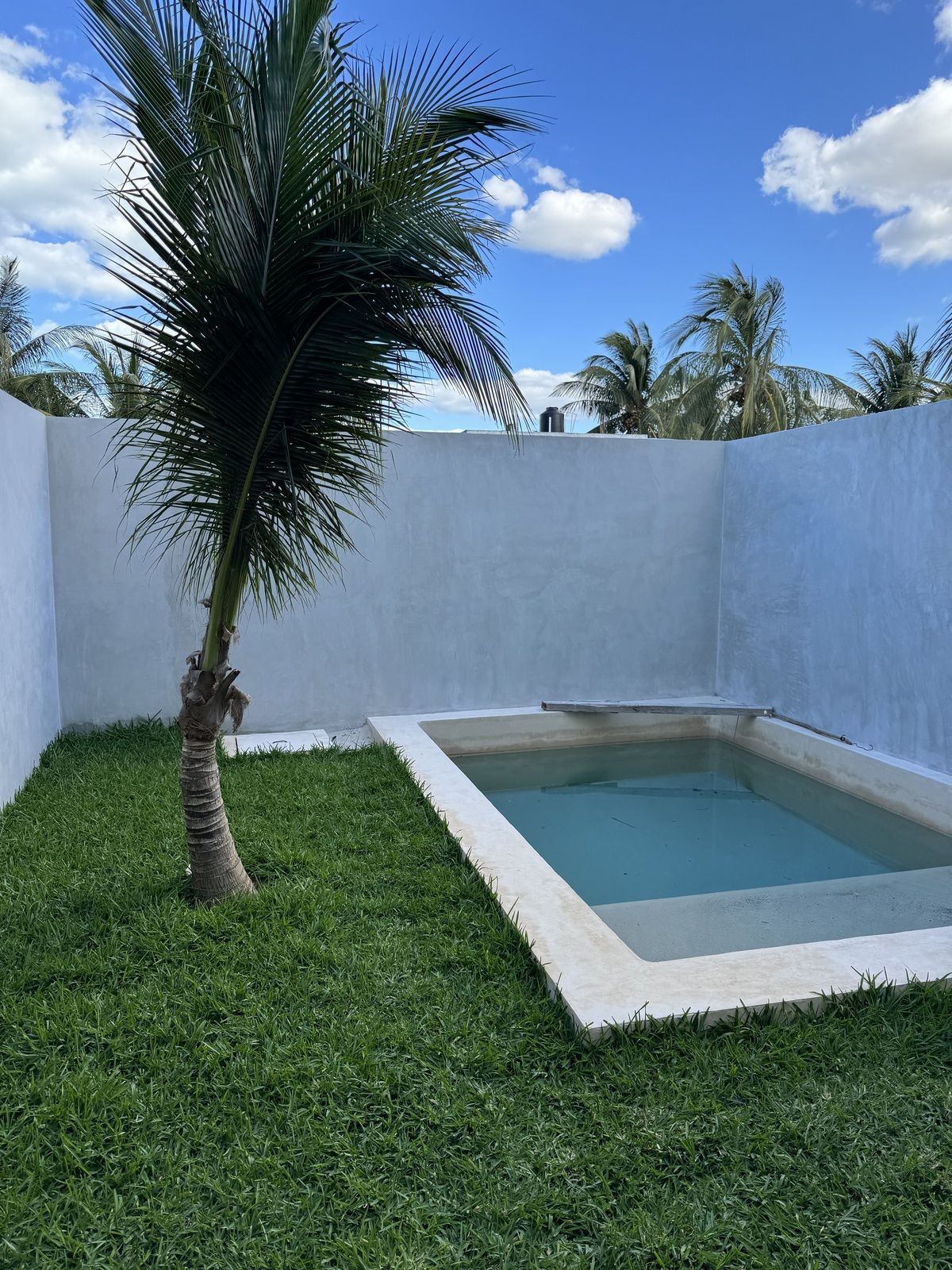 2 of 21: Jardín con alberca