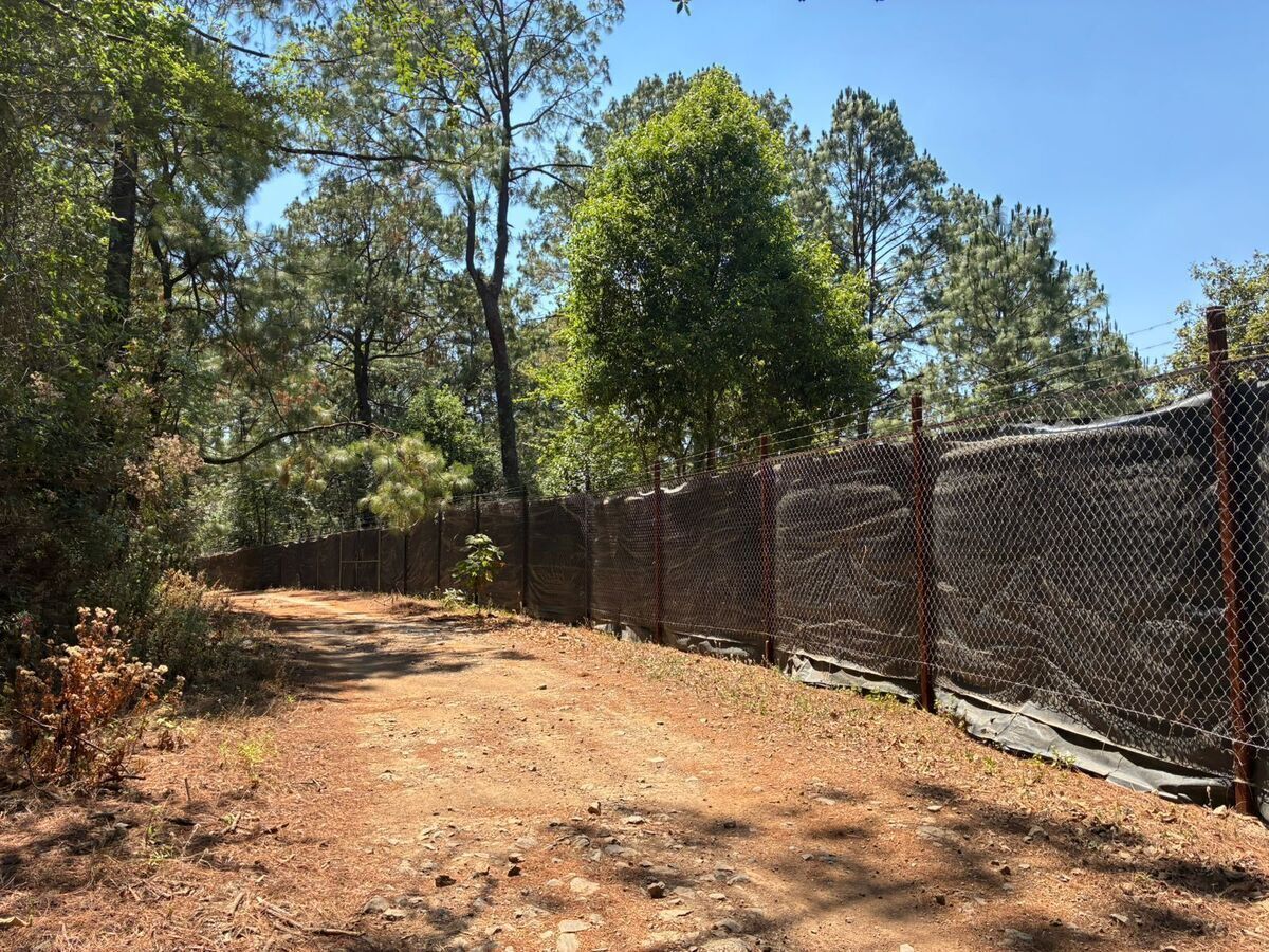 🌲Mazamitla Segunda Etapa de Terrenos - Vive Rodeado de Naturaleza - foto 5