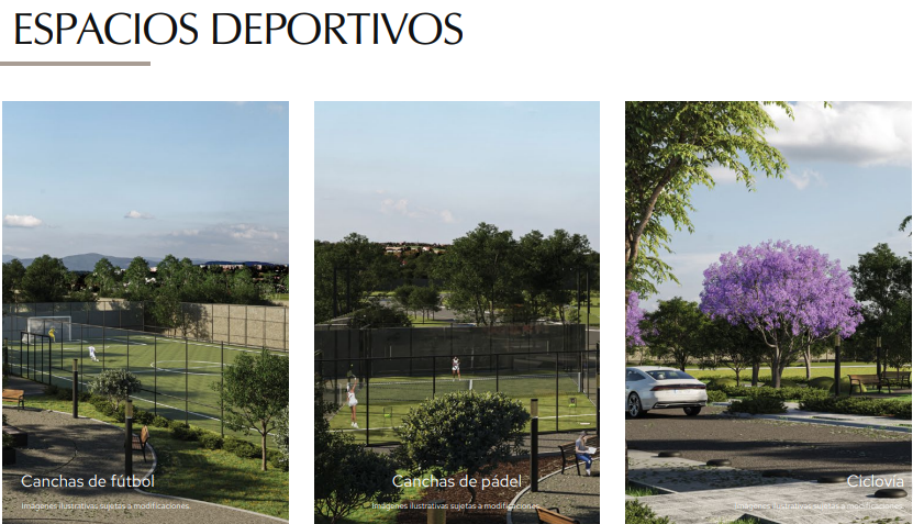 Imagen 3 de 10
