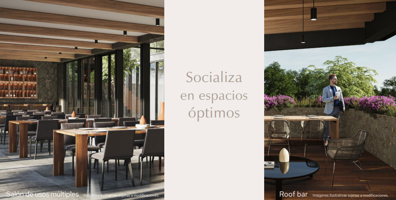 Imagen 7 de 10