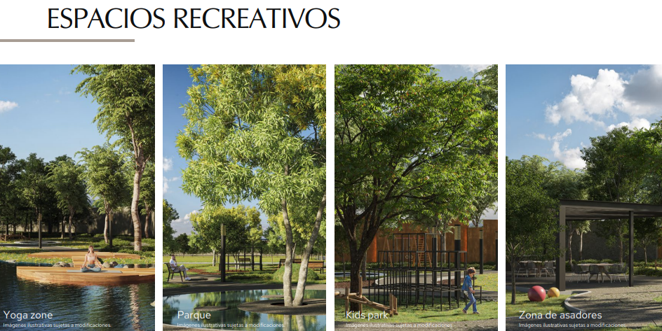 Imagen 4 de 10