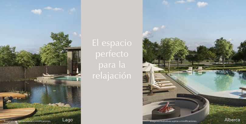 Imagen 8 de 10