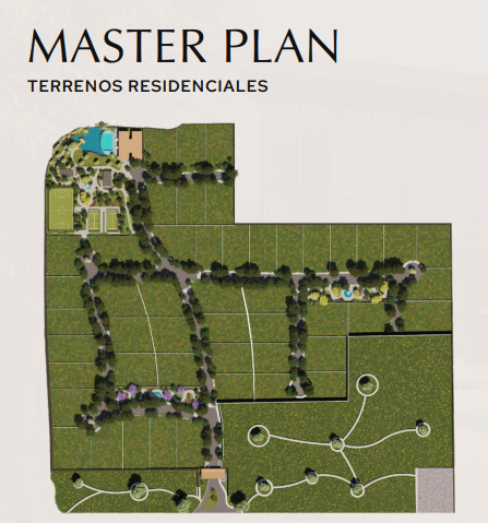 Imagen 10 de 10