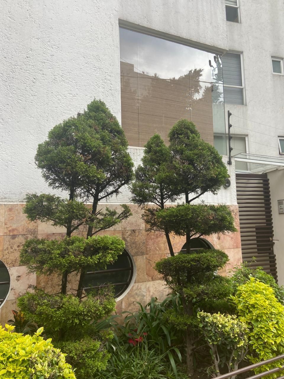 1 de 25