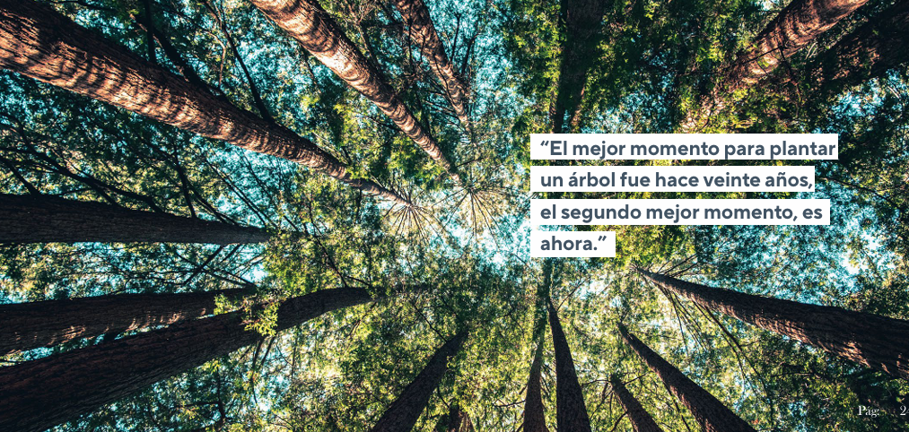 Imagen 3 de 6