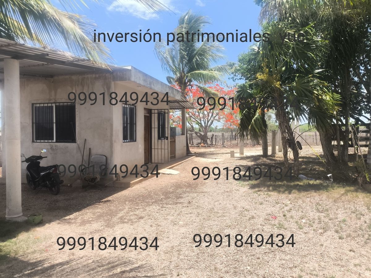 5 de 16