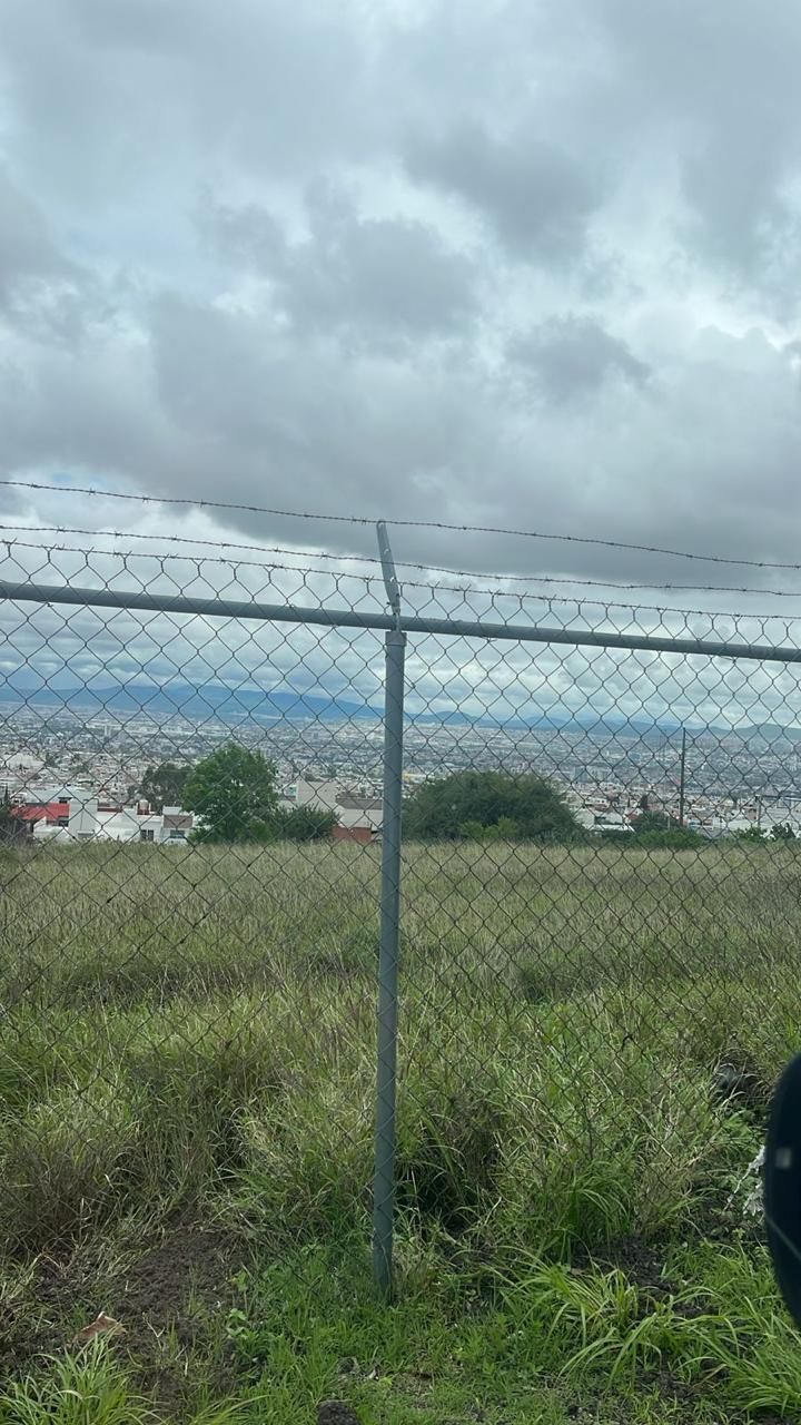 7 de 10