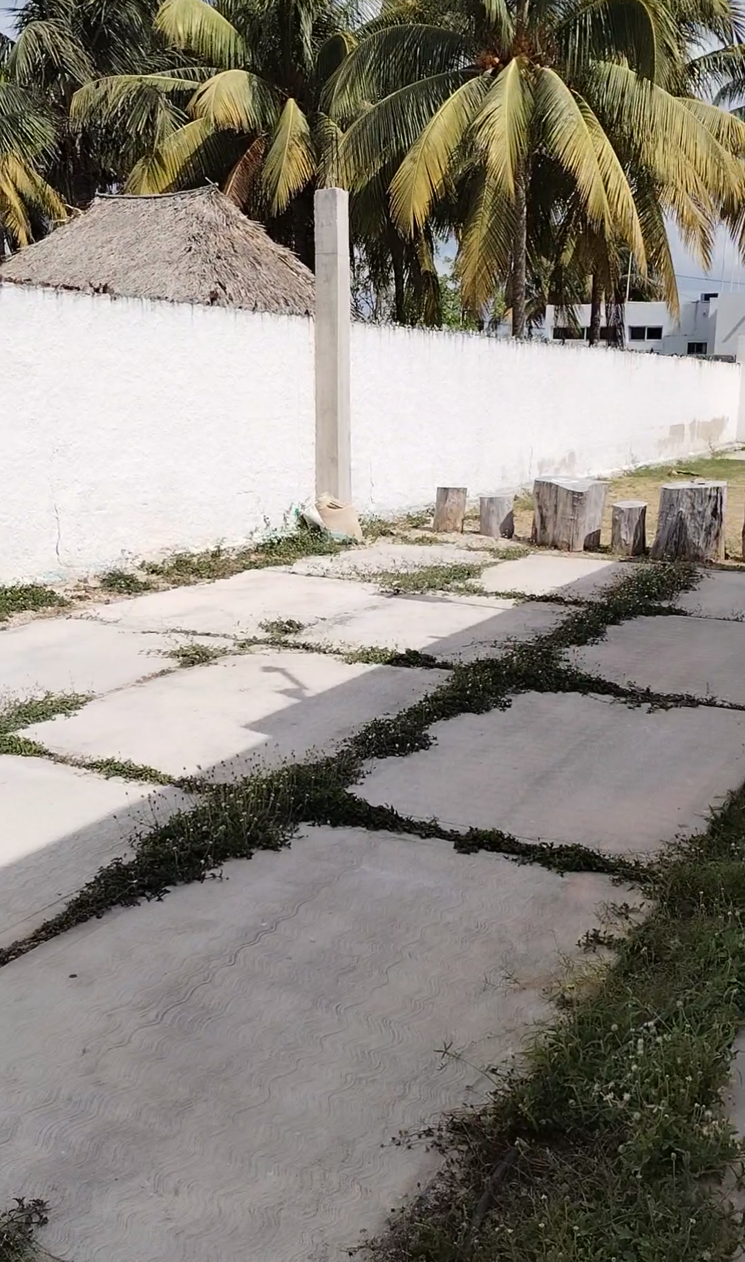 8 de 27