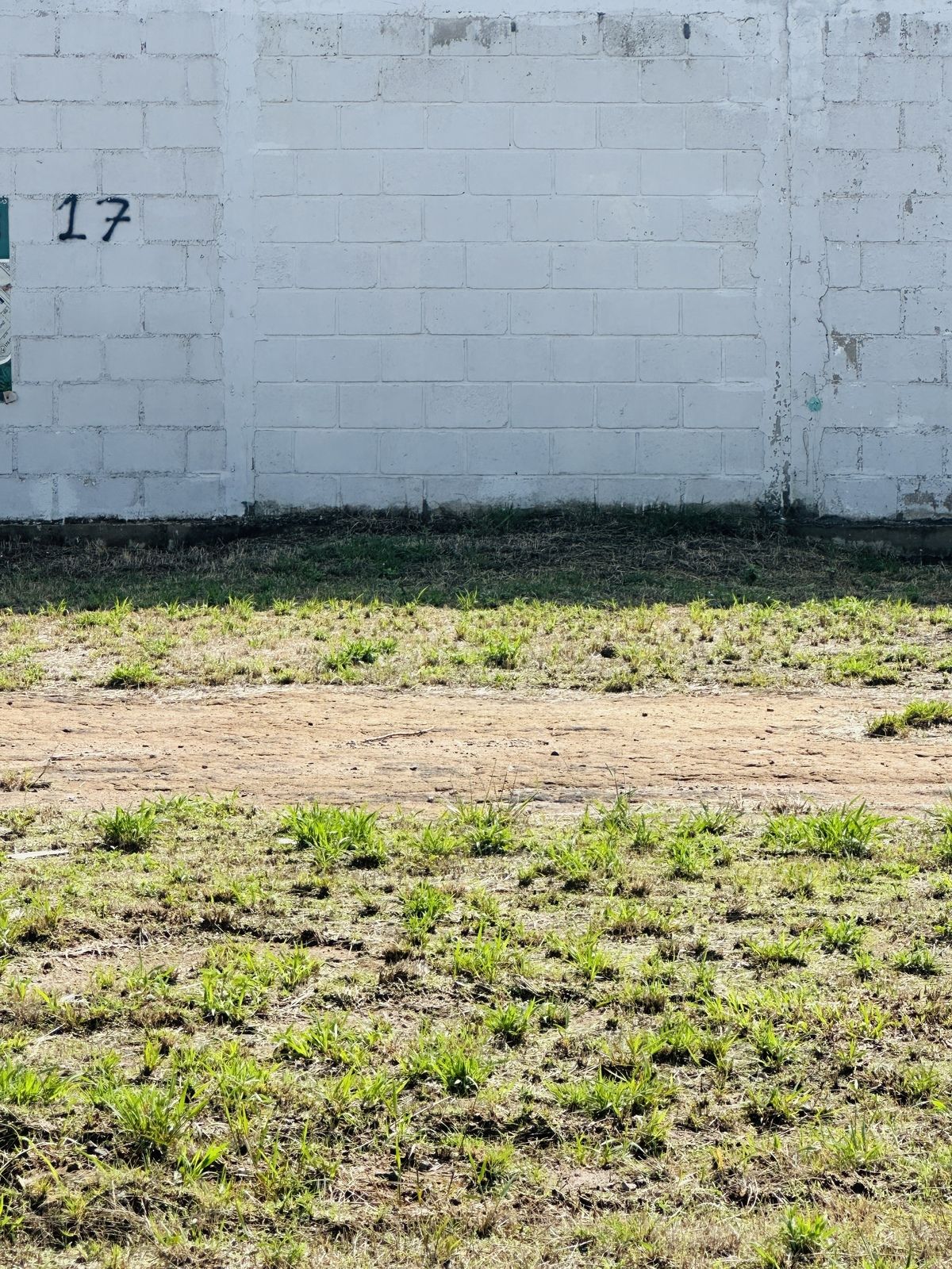 3 de 12