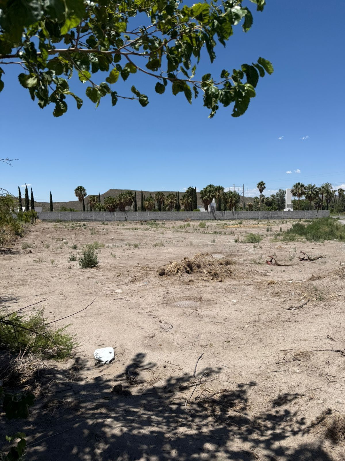 Terreno en Venta en Parras Coahuila