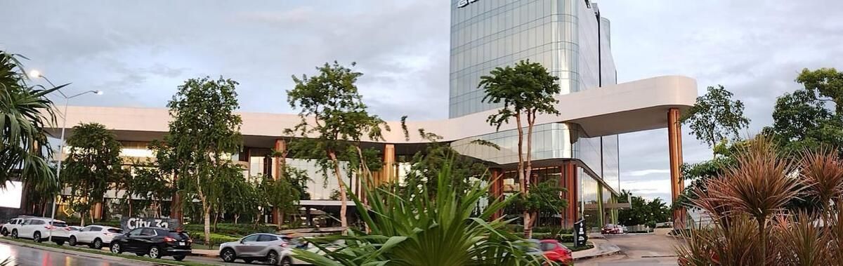 5 de 17