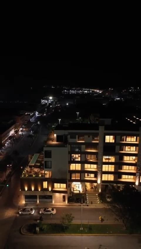7 de 11