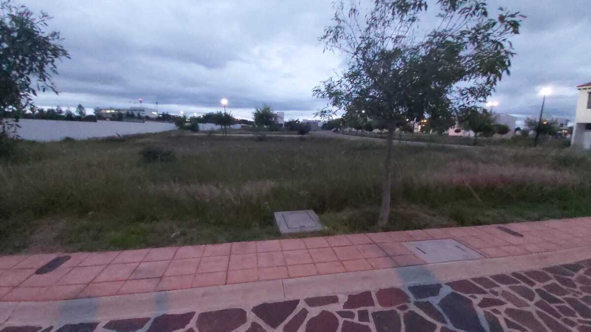 5 de 10
