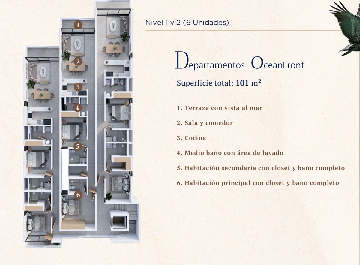 36 de 39