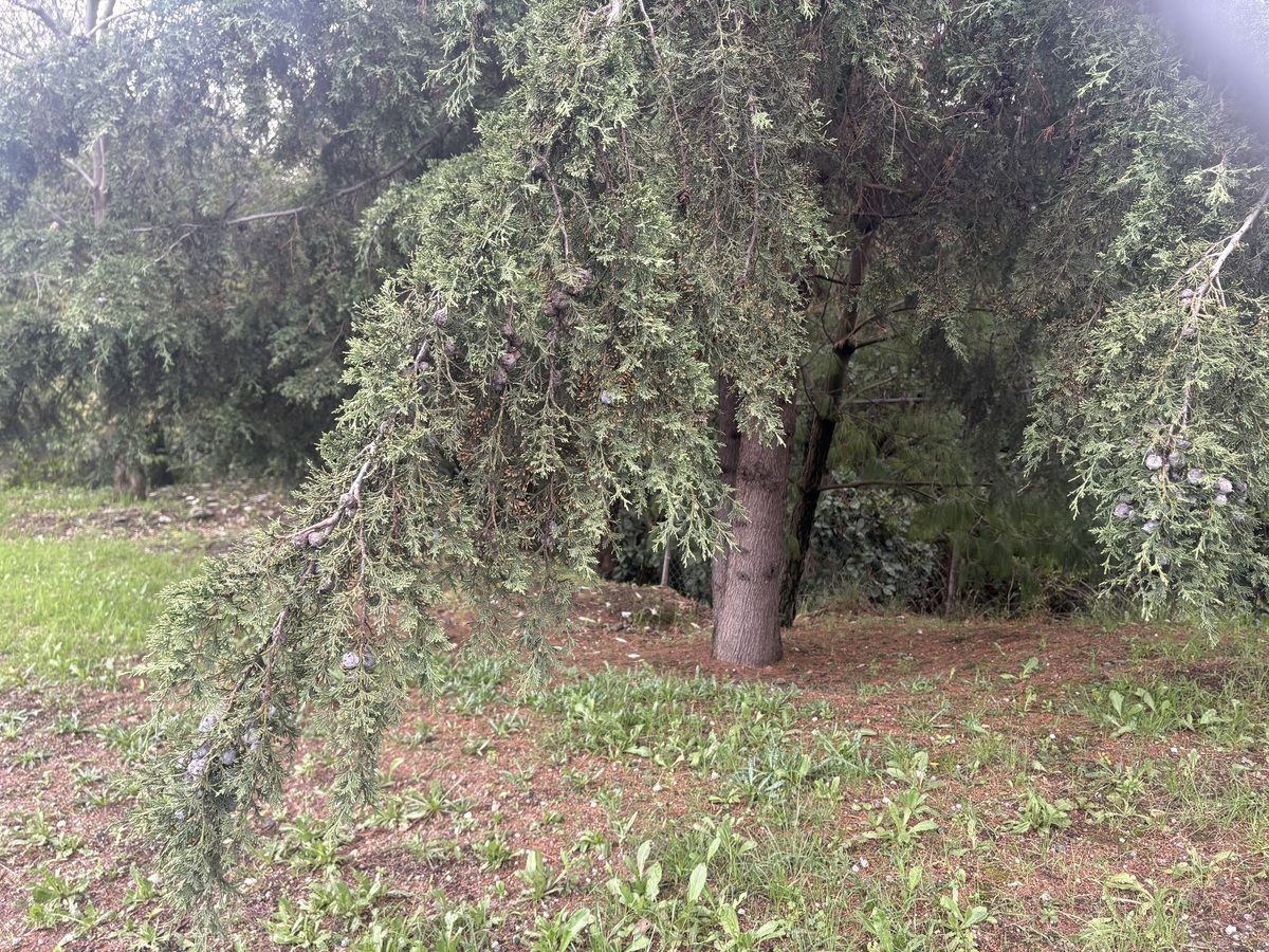 4 de 8