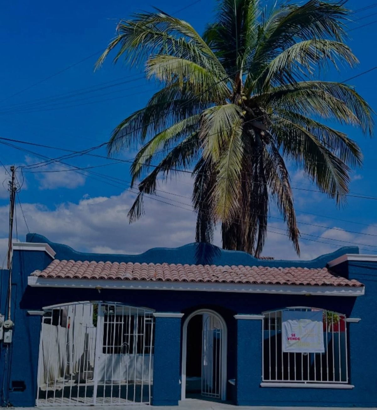 1 de 1