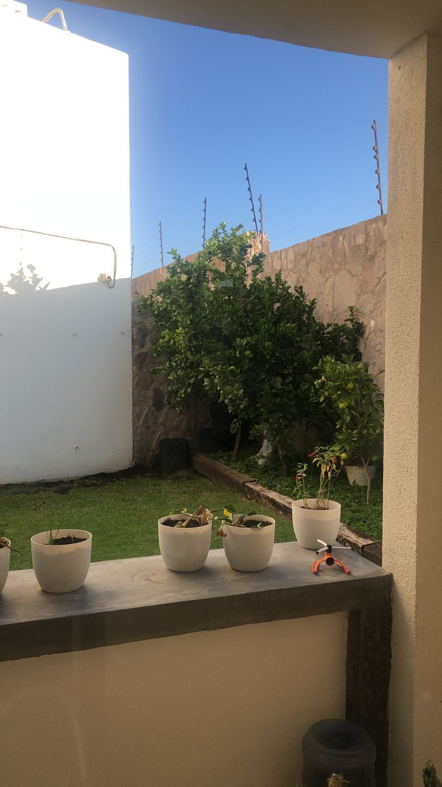 9 de 17