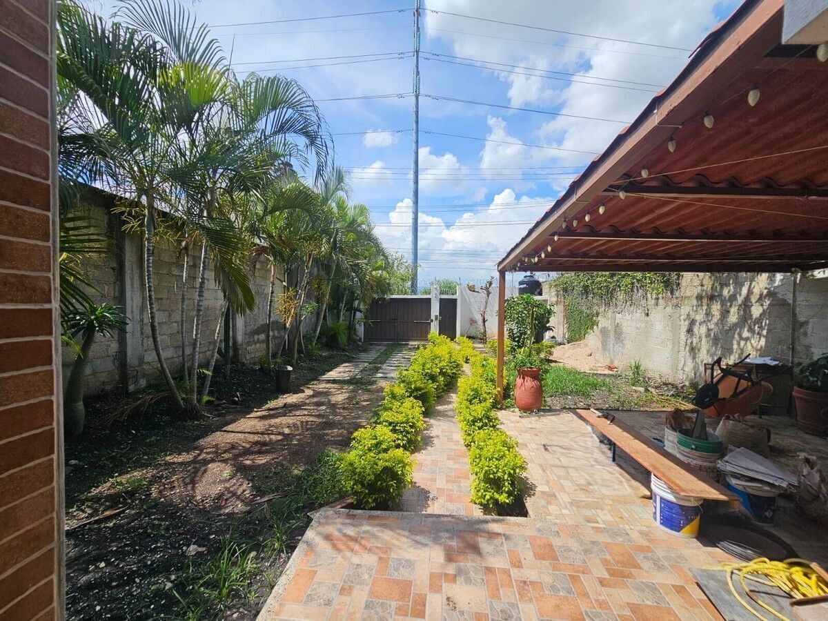 6 de 36