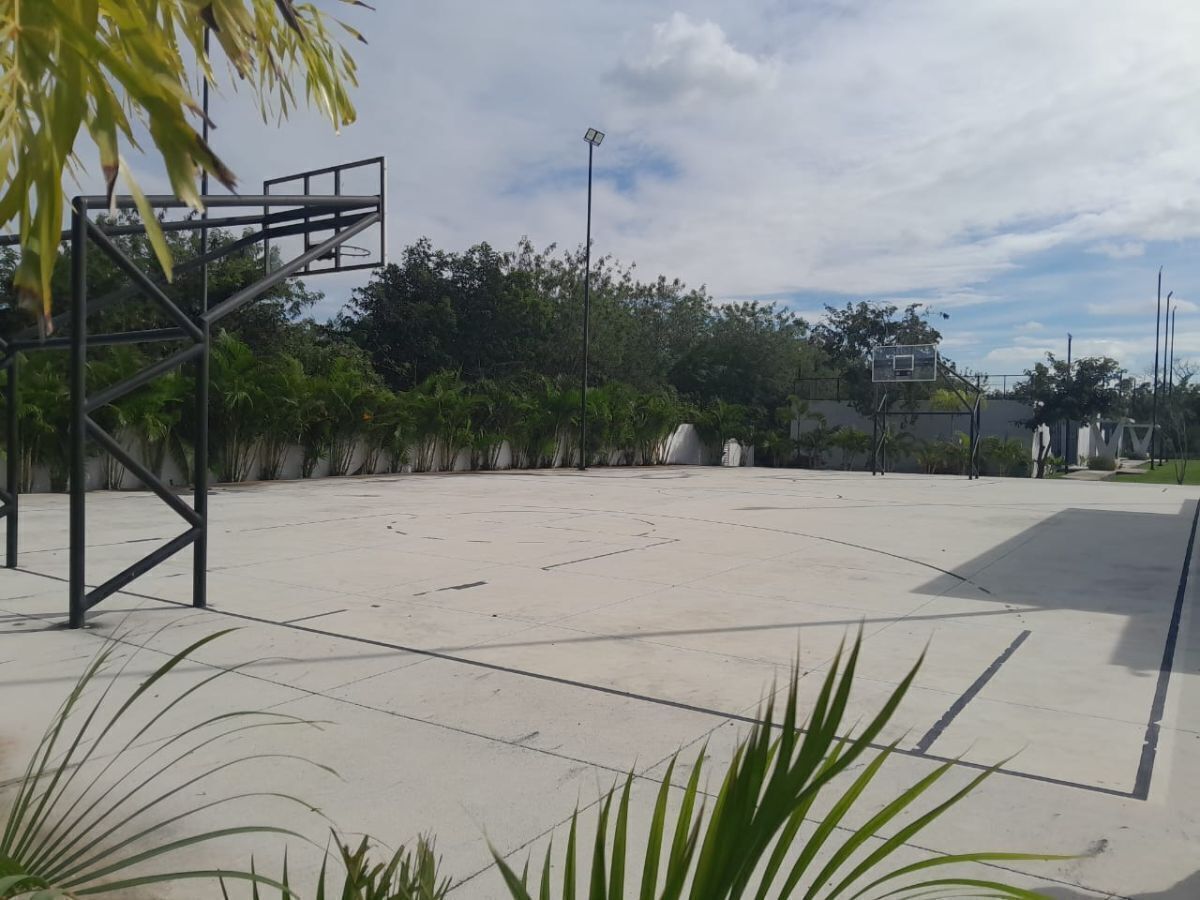 5 de 19