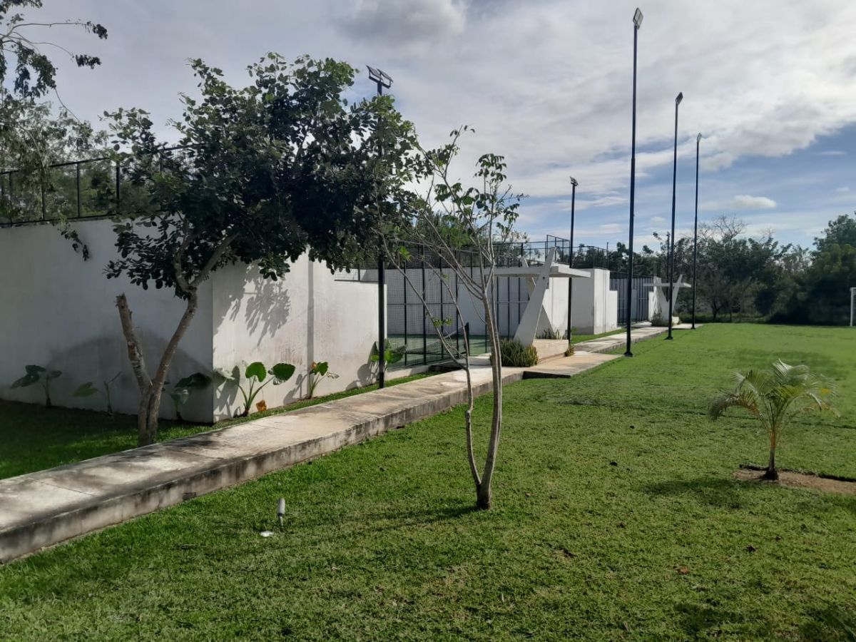 9 de 19
