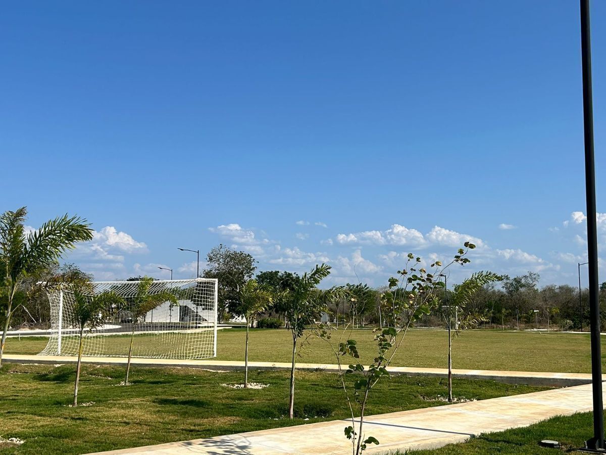 14 de 19
