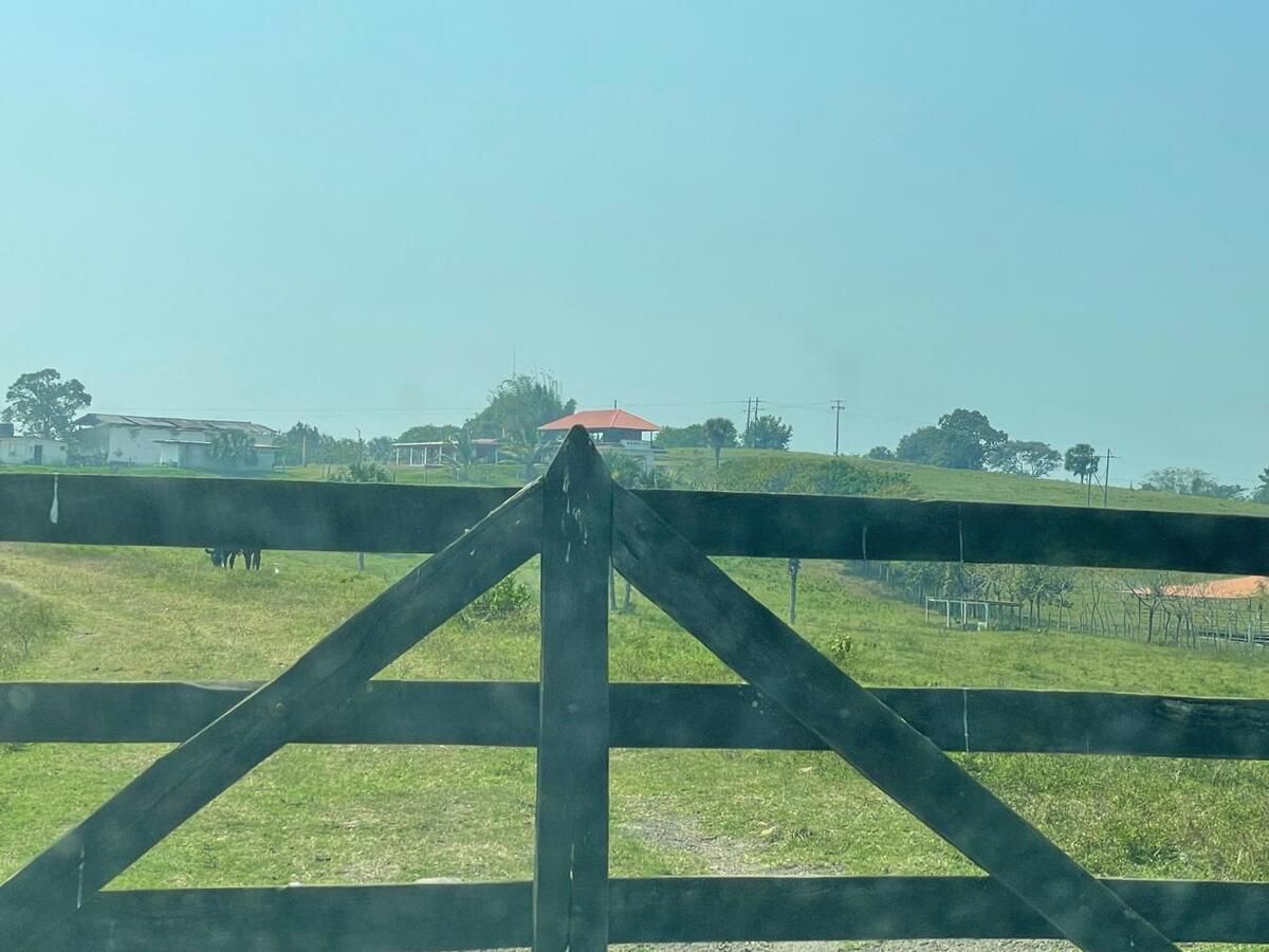 🐄🌿 En Venta: Impresionante Rancho de 100 Hectáreas en Tuxpan, Veracruz 🌿🐄 - foto 3