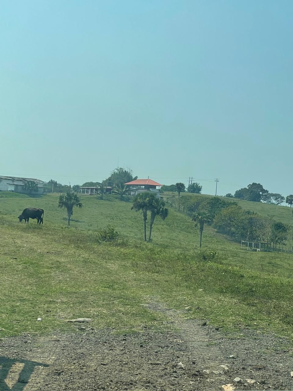 🐄🌿 En Venta: Impresionante Rancho de 100 Hectáreas en Tuxpan, Veracruz 🌿🐄 - foto 1