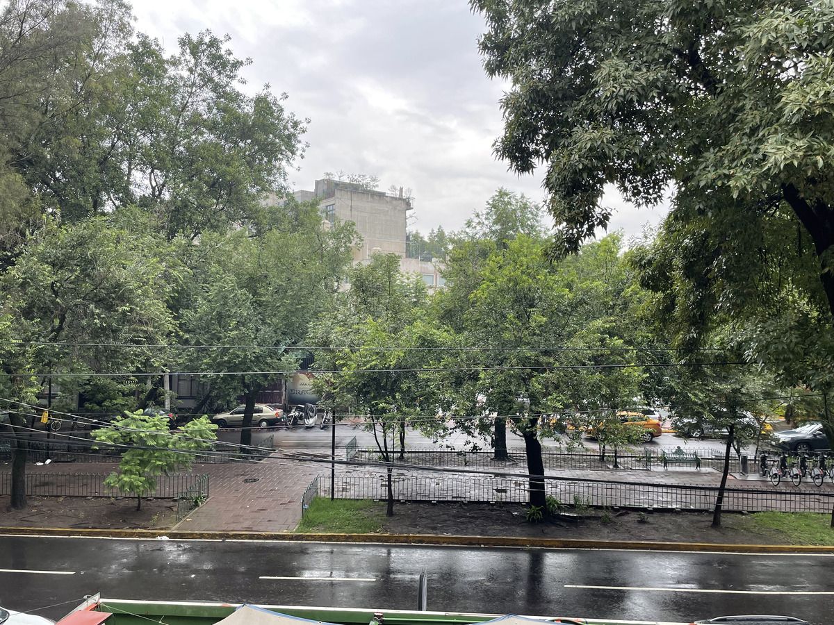 10 de 41: Vista 1er Nivel