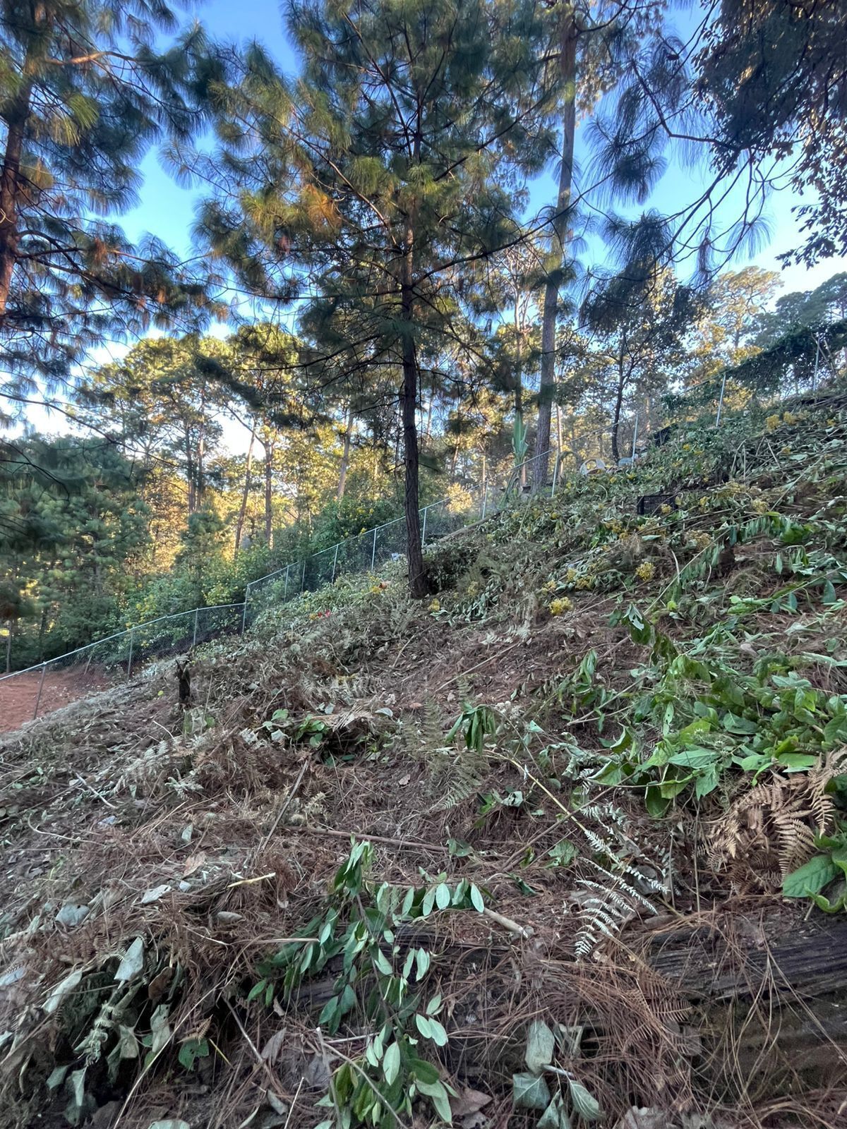 2 de 10