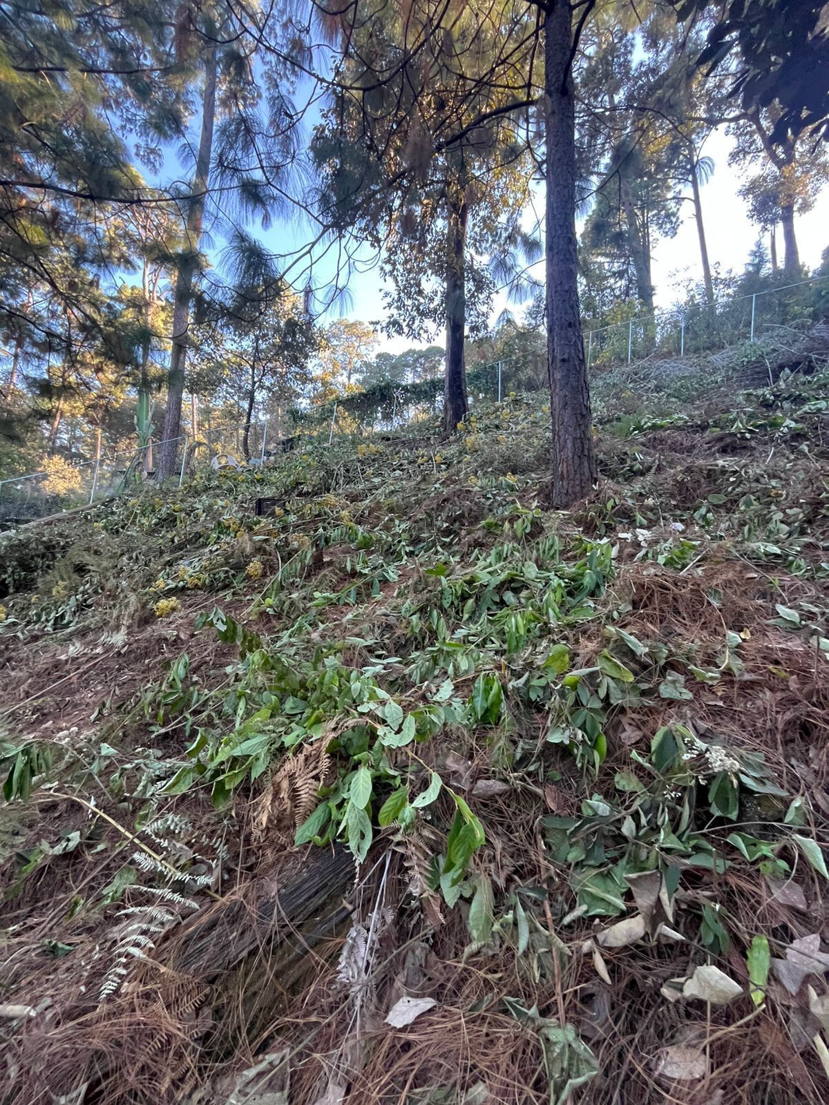 3 de 10
