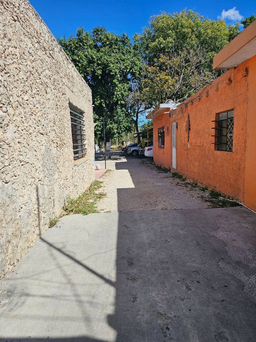 2 de 12