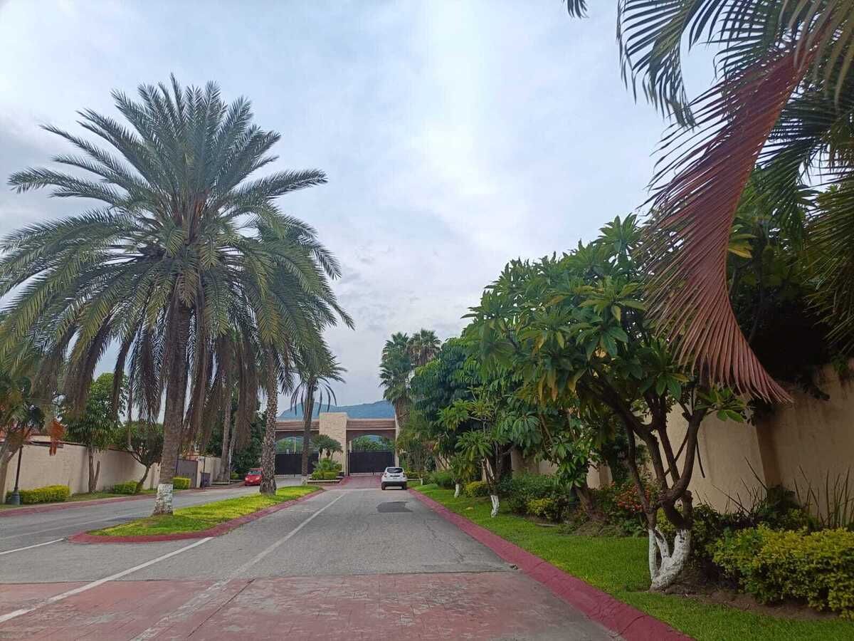 11 de 15