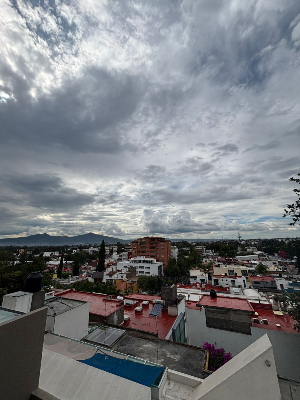 11 de 38