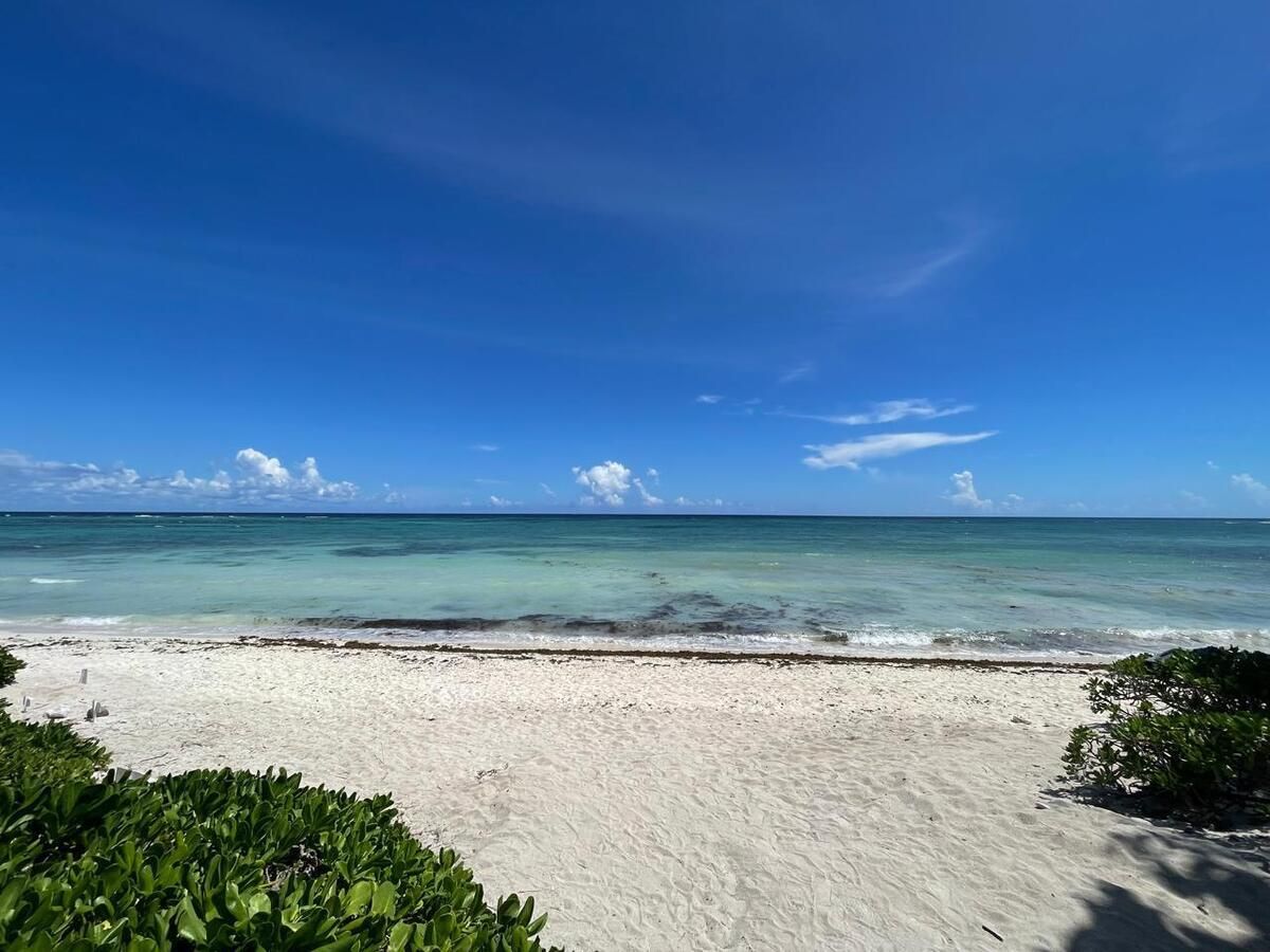 4 de 4: Vista del terreno al mar