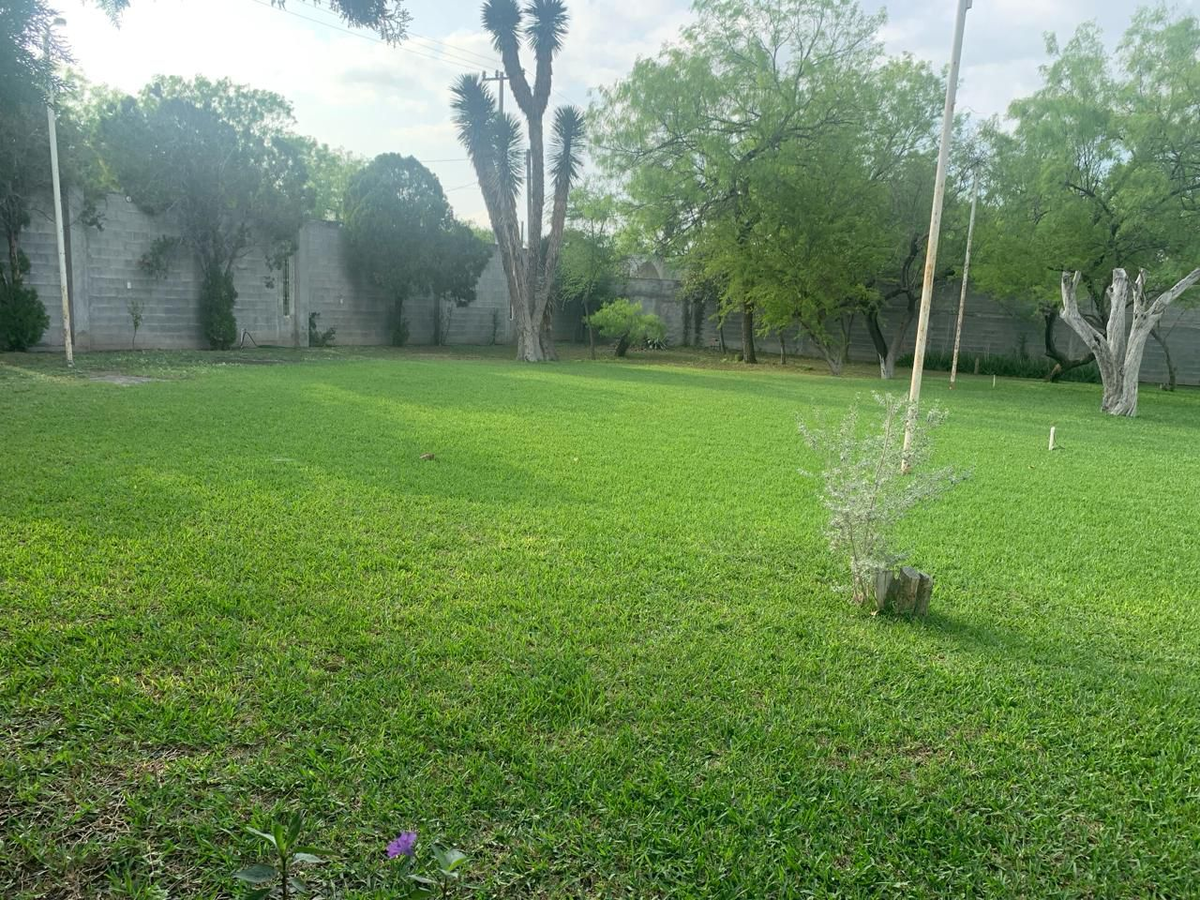 4 de 15
