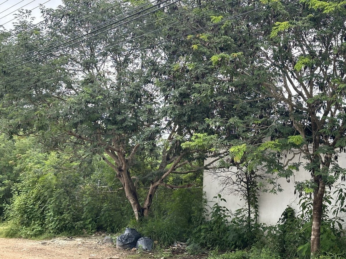 5 de 7