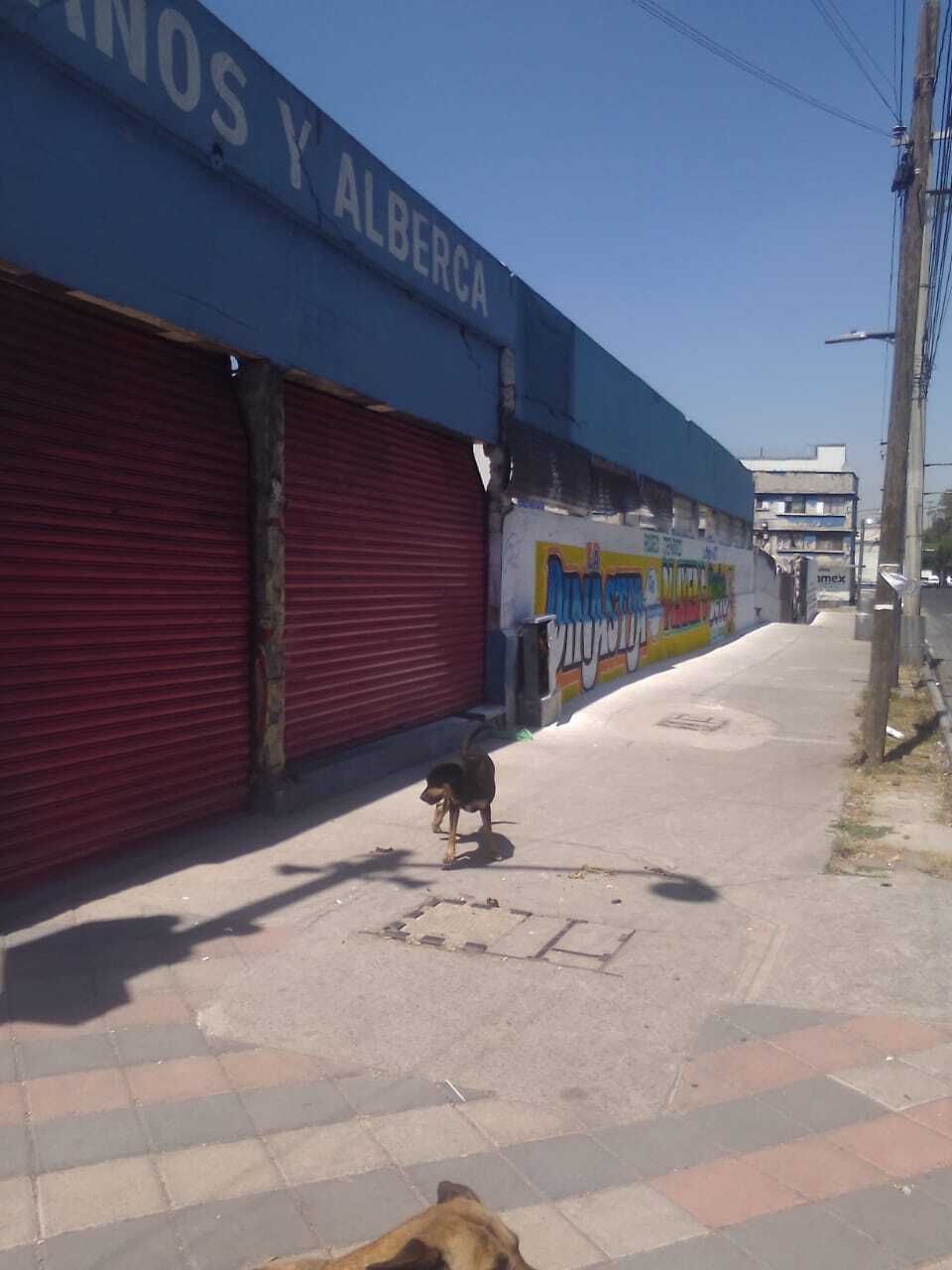 3 de 14
