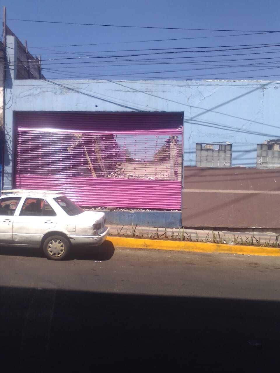 4 de 14