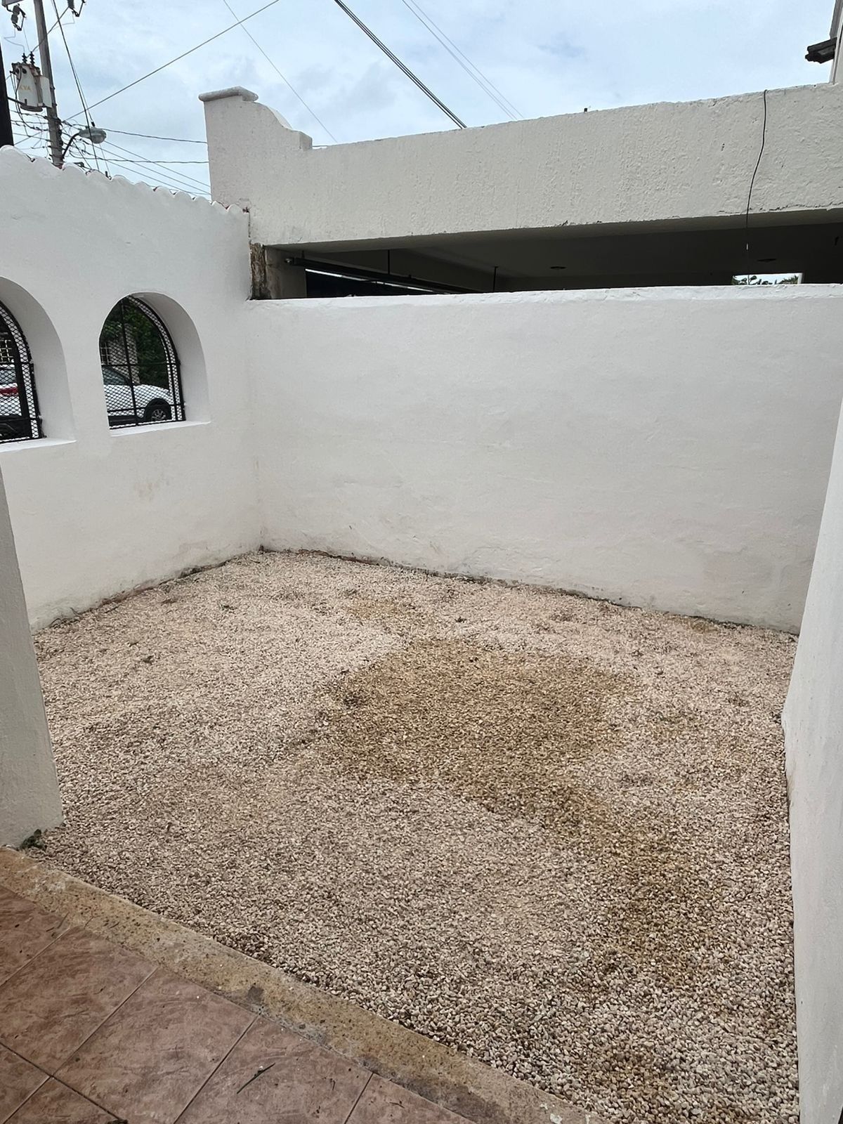 6 de 31