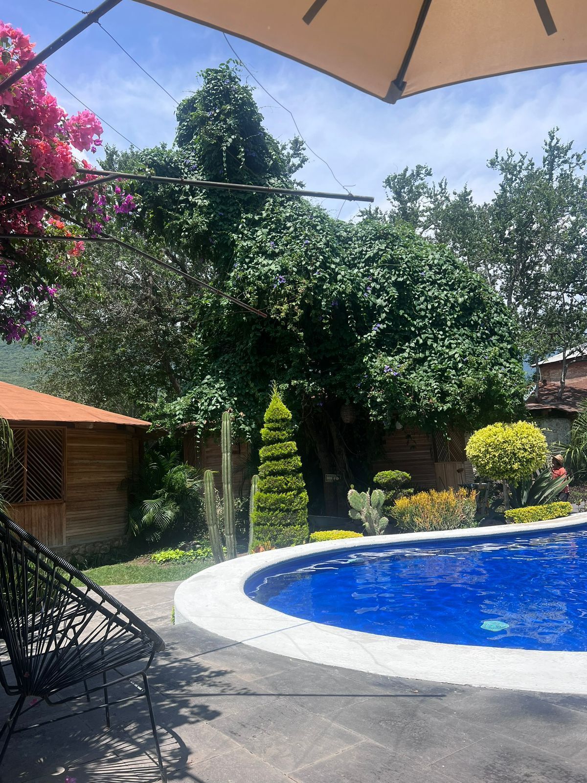 5 de 22