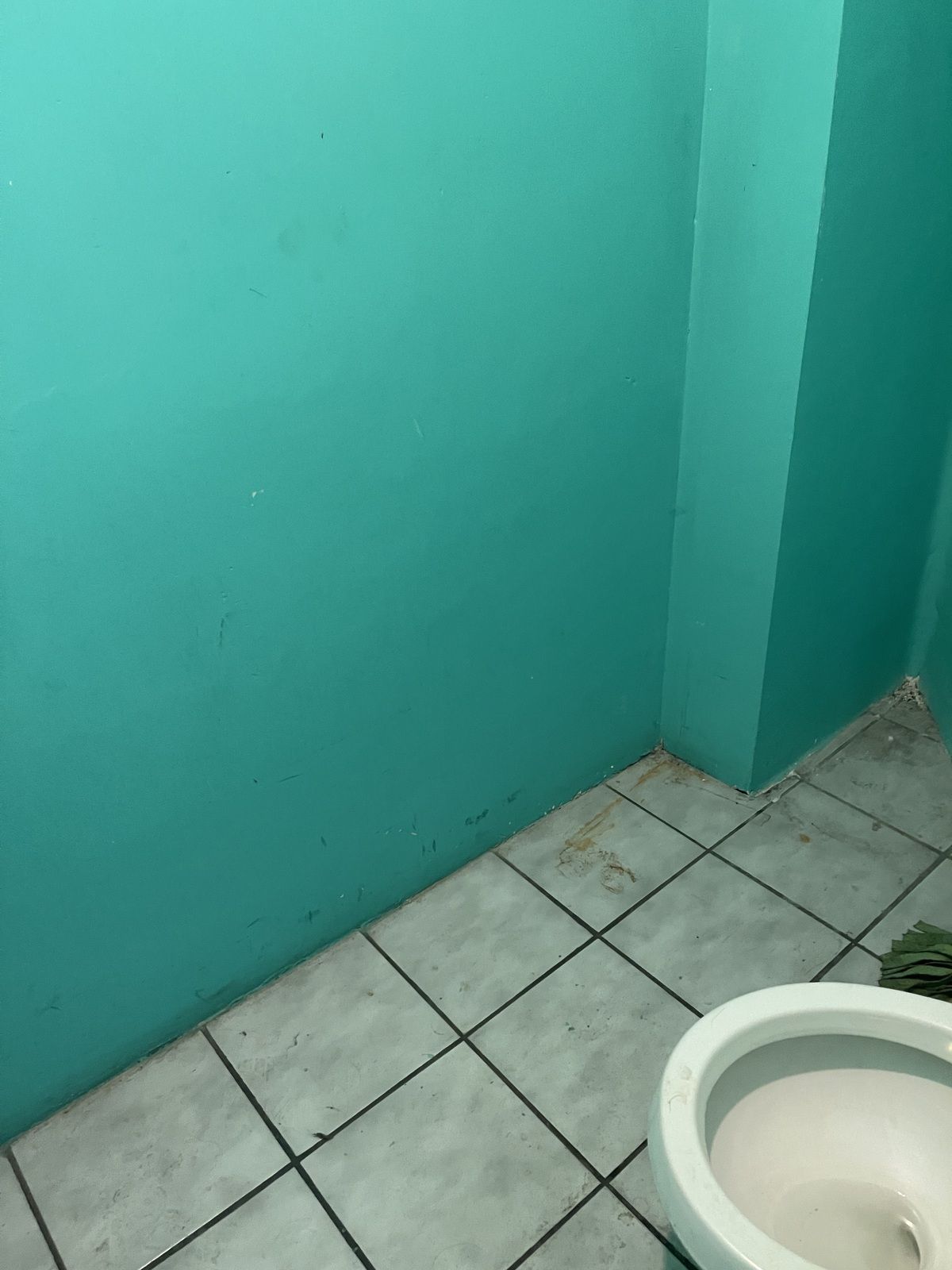 3 de 15