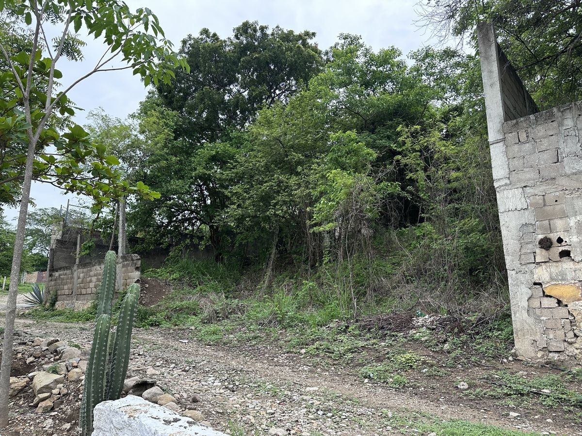 2 de 6