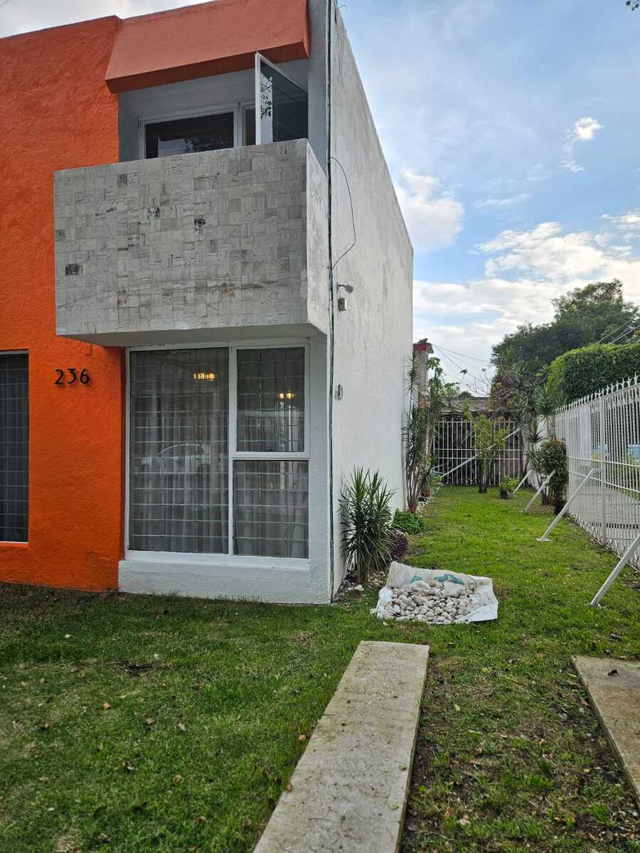 3 de 31