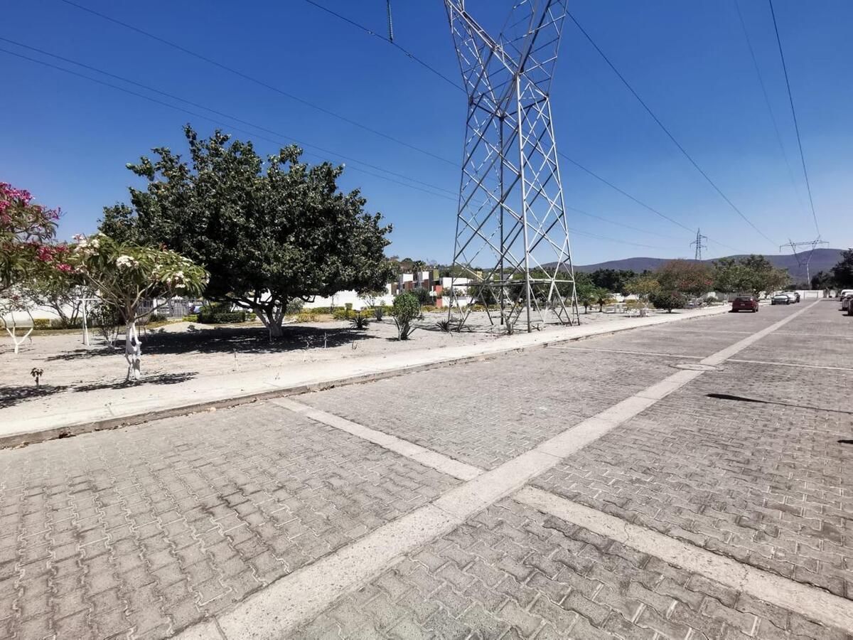 24 de 24: CAMELLÓN FRENTE A LA CASA