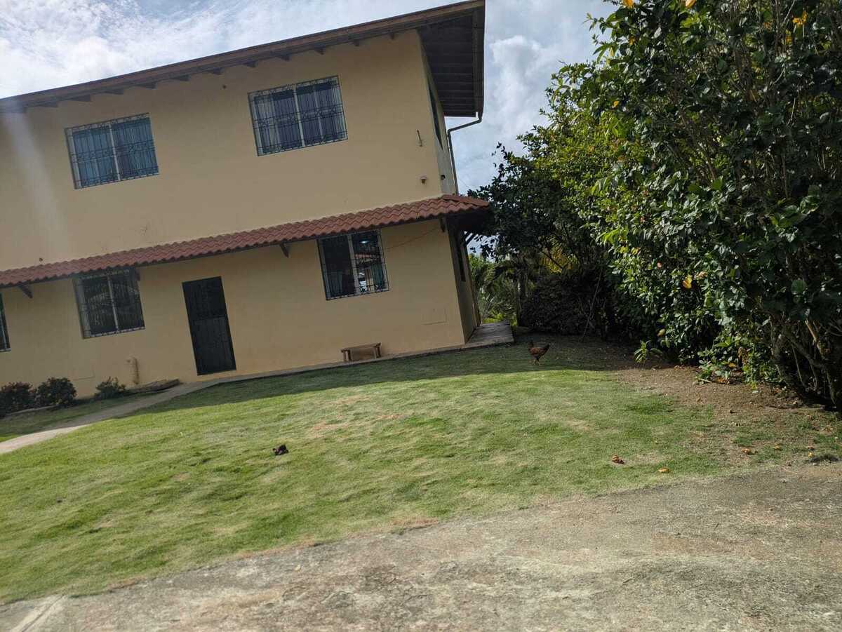 Property view 2