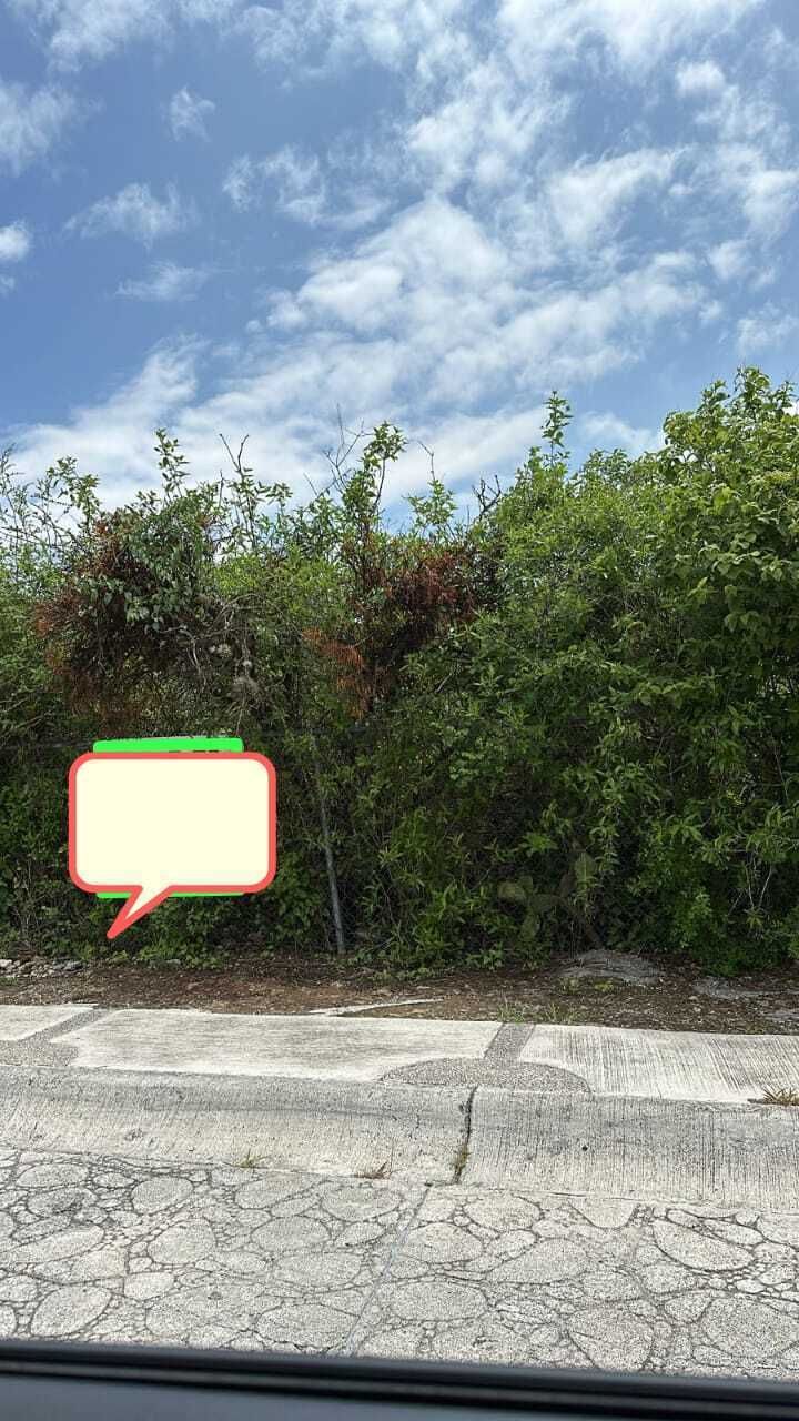4 de 7: Citlaltepetl
