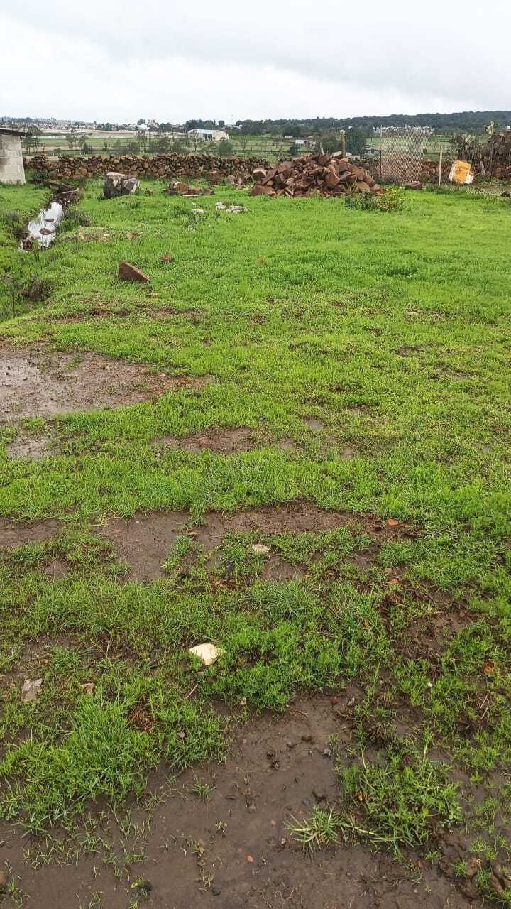 4 de 8